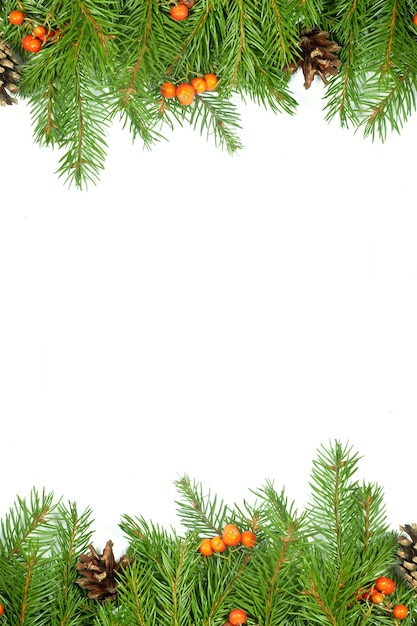 Draufsicht Weihnachtstannenzweige mit Zapfen