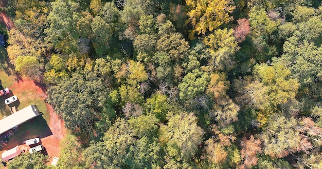 Draufsichtantenne der schönen Natur und einer gelben Waldlandschaft in South Carolina während der Herbstmonate
