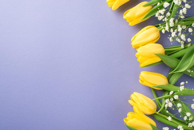 Draufsichtfoto der Tageszusammensetzung der Frau gelbe Tulpen und weißes Gypsophila auf lokalisiertem pastellviolettem Hintergrund mit leerem Raum