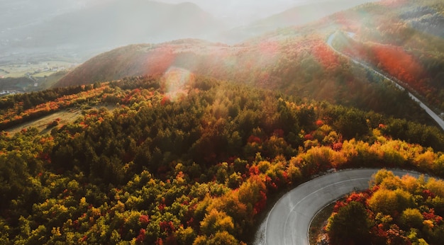 Draufsichtfoto einer Forststraße im Herbst