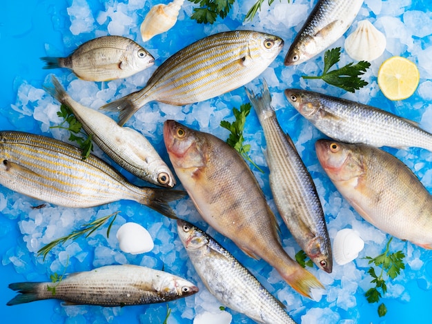 Foto draufsichtmischung von frischen fischen auf eiswürfeln