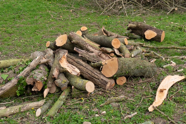 Draußen Holzstapel für den Kamin