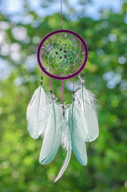 Dreamcatcher amerikanisches einheimisches Amulett im Waldschamanen