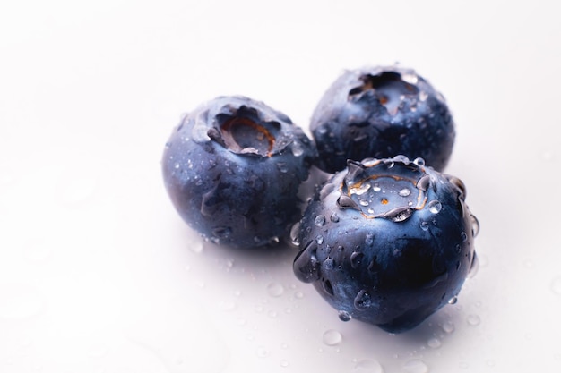 Drei Blaubeeren mit Tropfen auf einem weißen Hintergrund Werbebanner frische nasse Blaubeeren