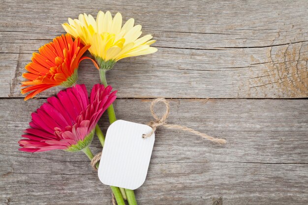 Foto drei bunte gerbera-blumen mit tag