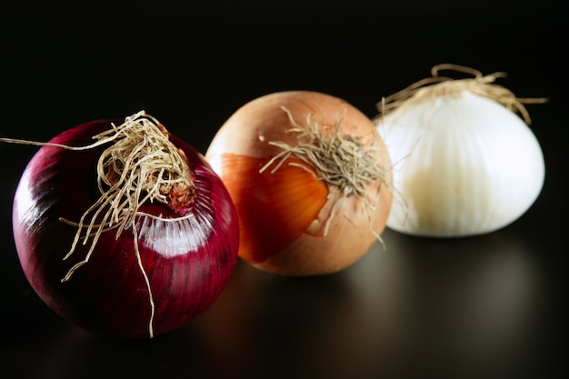 Drei bunte verschiedene Zwiebeln