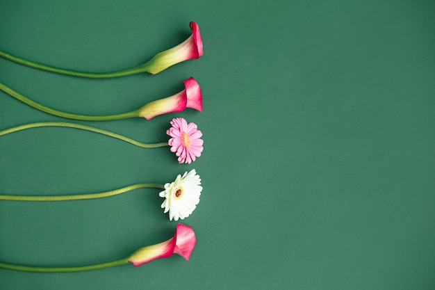 Drei Callas und zwei Gerbera auf einem grünen Tisch