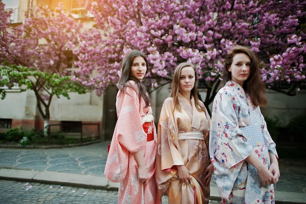 Drei europäische Mädchen, die traditionellen japanischen Kimono-Hintergrund tragen, blühen rosa Sakura-Baum