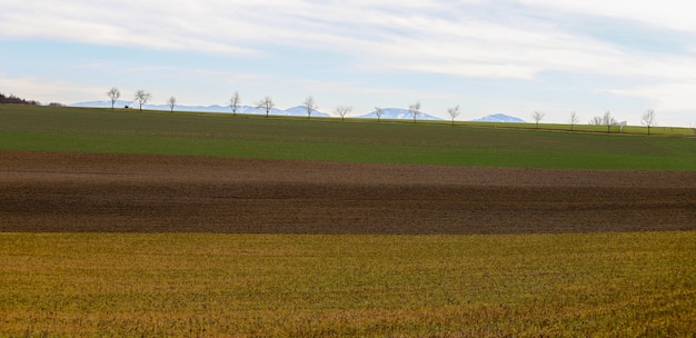 Drei Felder mit gelben, braunen und grünen Farben sowie mit Bäumen und Bergen