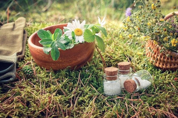 Drei Flaschen homöopathische Kügelchen, Holzschale und Korb mit Heilkräuterhandschuhen auf einem Moos