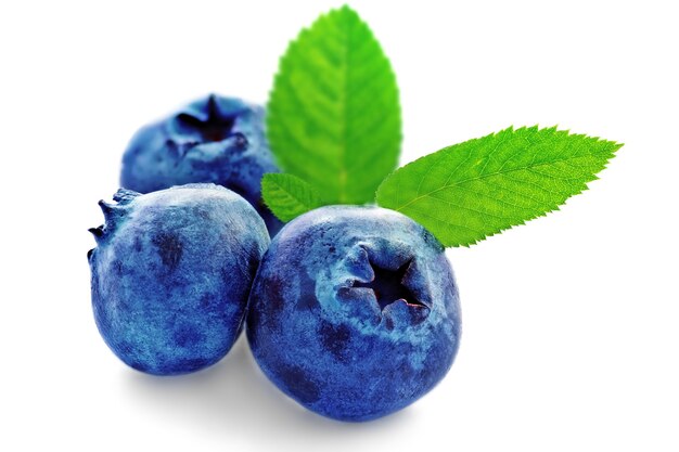 Drei frische Blaubeeren isoliert auf weißem Hintergrund.