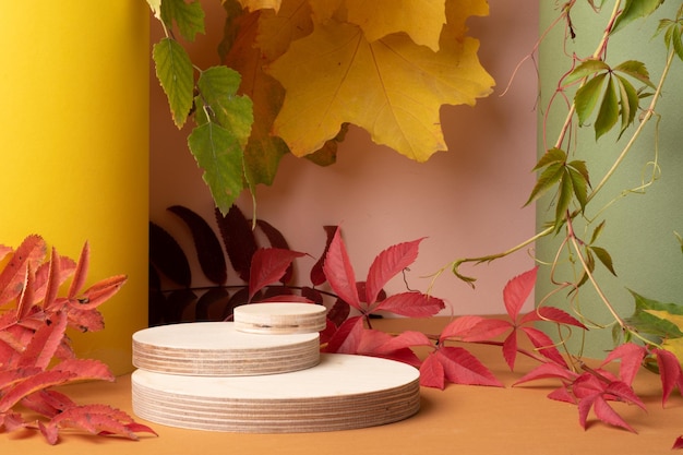 Drei herbstliche Laufsteige aus Naturholz mit Herbsttönen orange-gelb-grün-rot Showcase-Produktpräsentation Eine minimalistische Branding-Szene