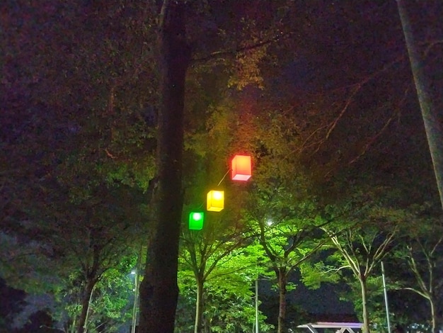 Drei Lampen im Park bei Nacht so schön