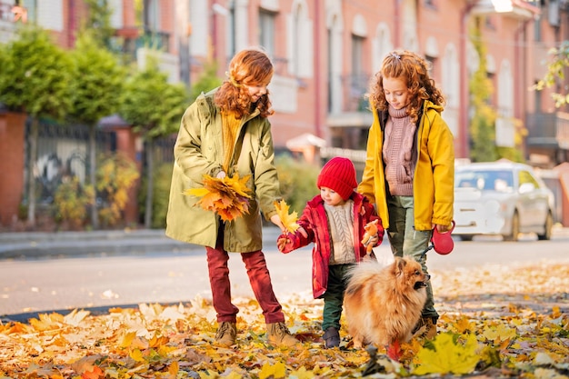 Drei Mädchen, zwei ältere Schwestern und ein Baby gehen mit einem flauschigen pommerschen Hund die Straße entlang und betrachten an einem sonnigen Herbsttag die gefallenen Blätter