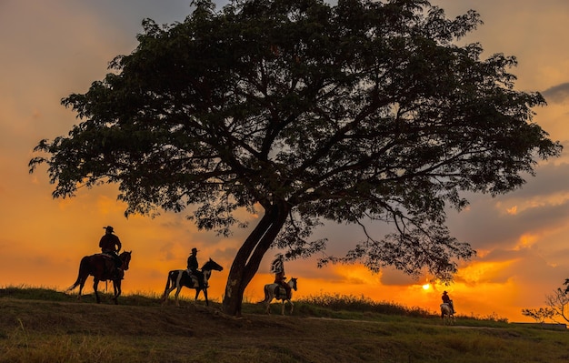 Drei Männer in Cowboy-Kleidung mit Pferden und Gewehren Ein Cowboy, der im Sonnenuntergang auf einem Pferd reitet, hat eine schwarze Silhouette