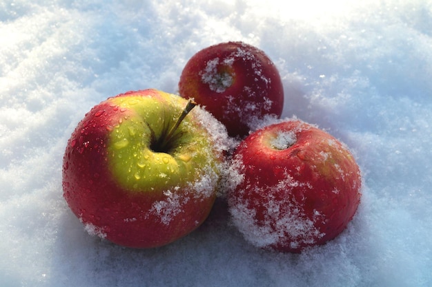 Drei Äpfel im Schnee