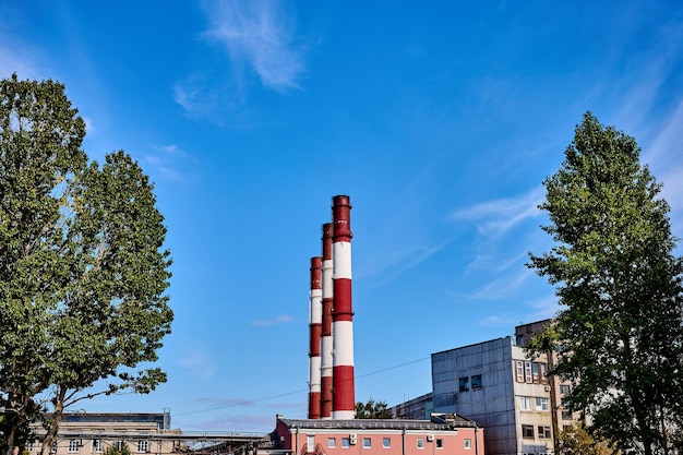 Drei Rauchrohre aus Ziegeln, die an einem Sommertag hoch mit blauem Himmel und Bäumen dahinter stehen