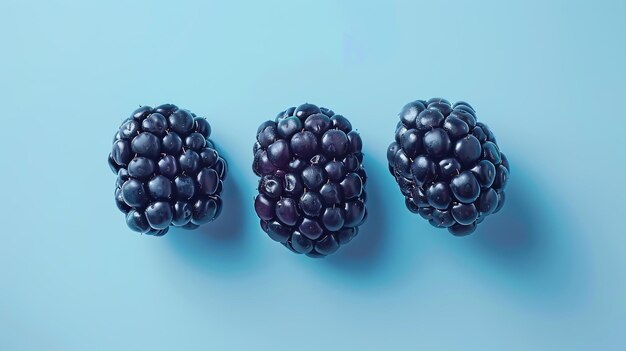 Drei reife Schwarzbeeren auf blauem Hintergrund