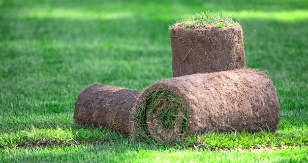 Drei Rollen Rasengras im Hinterhof an einem sonnigen Tag. Bereites Gras zum Verlegen, Landschaftsbau in der Nähe der Hütte.