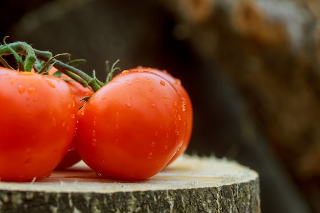 Drei Tomaten mit Wassertropfen auf hölzernem Hintergrund