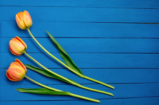 drei Tulpen auf blauem Holz