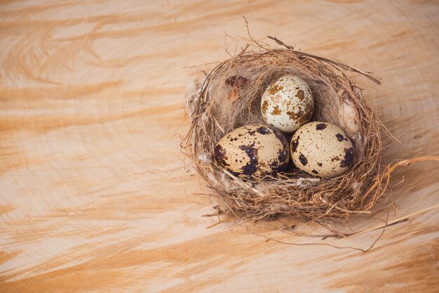 Drei Wachteleier in einem Nest auf einem strukturierten Holzhintergrund