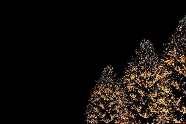 Drei Weihnachtsbaum mit Lichtern auf schwarzem Hintergrund isoliert Overlay-Neujahr-Element