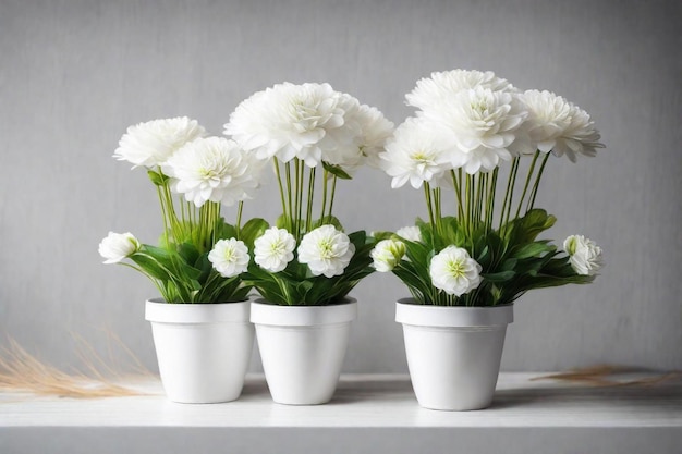 drei weiße Pflanzer mit weißen Blumen in ihnen sind mit dem Namen "quoten e" gekennzeichnet