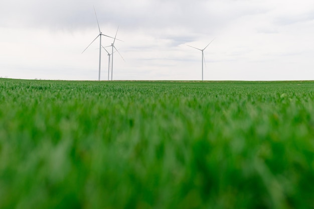 Drei Windturbinen eines Windparks, der erneuerbare Energie produziert, saubere grüne alternative Energie