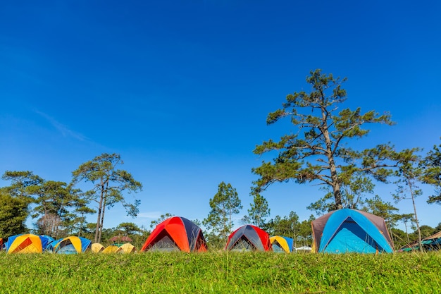 Drei Zelte auf dem Campingplatz im schönen Wald