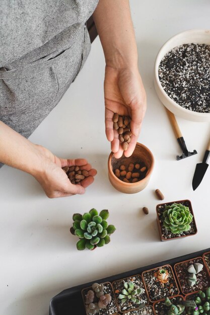 Drenaje a mano para las plantas Poniendo guijarros en la olla para las suculentas