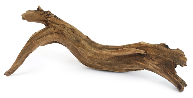 Driftwood sobre fondo blanco.