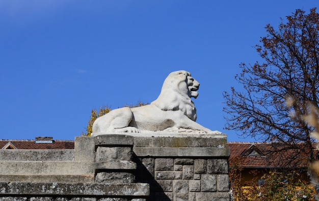 Foto drobeta-heldenstatuenlöwe