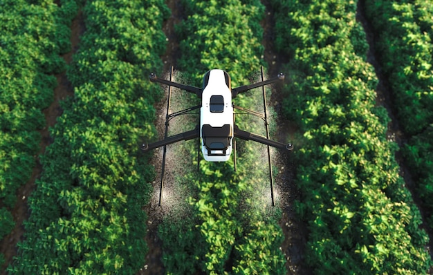 Drohne sprüht Dünger auf grüne Gemüsepflanzen Landwirtschaftstechnik Landwirtschaftsautomation