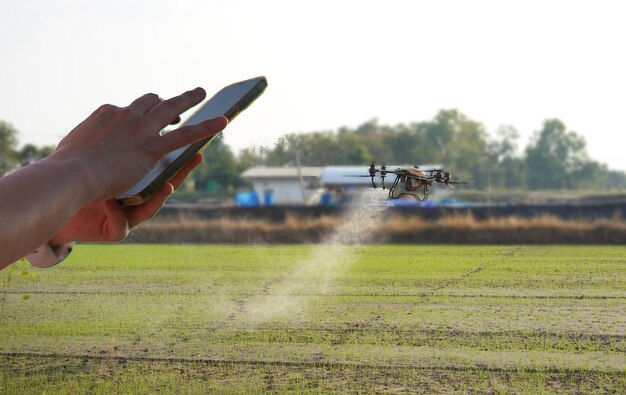 Foto drohnen mit smartphone-steuerung sprühen während der ernte dünger auf den bauernhof