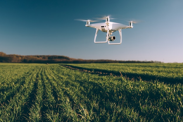 Drohnen-Quad-Copter auf grünem Maisfeld