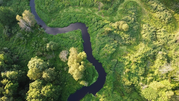 Drohnenansicht aus der Luft auf grünen Wald und fließenden Fluss Schöne Sommerlandschaft mit grünen Bäumen Russland Moskau Region Camping und Wandern im Freien Lifestyle Stock Fotografie