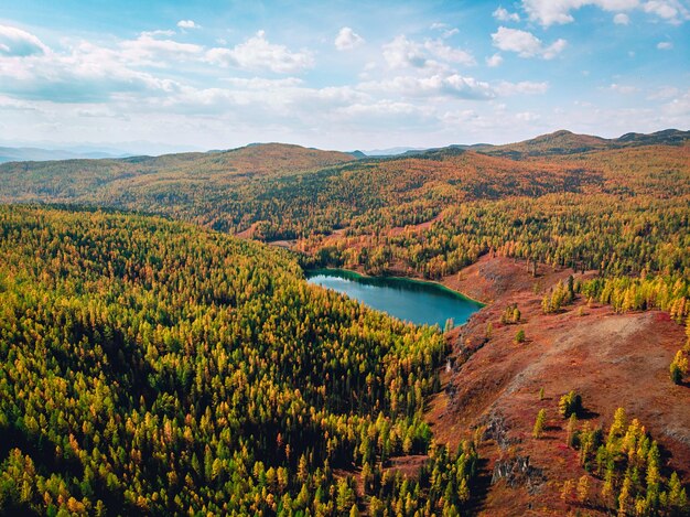 Drohnenansicht eines riesigen Sees mit strahlend türkisfarbenem Wasser, der sich mitten in einem dichten, gesättigten Wald befindet