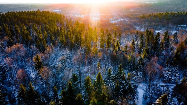 Drohnenansicht, Panorama der Winterberglandschaft bei Sonnenaufgang. Foto in hoher Qualität