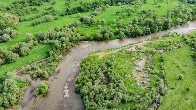 Drohnenaufnahme von oben auf einen grünen Wald und Fluss