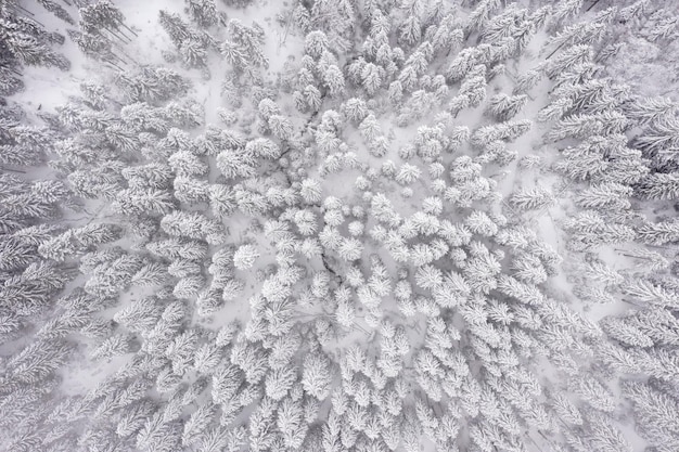 Drohnenblick auf den Berg im Winter