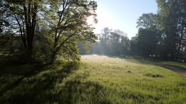 Drohnenflug über Feldweg im Park am frühen Morgen