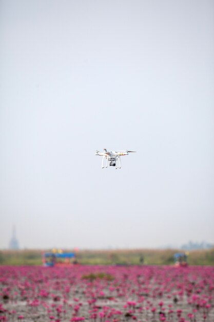 Drohnenflugzeug schwebt auf dem rosa Lotussee