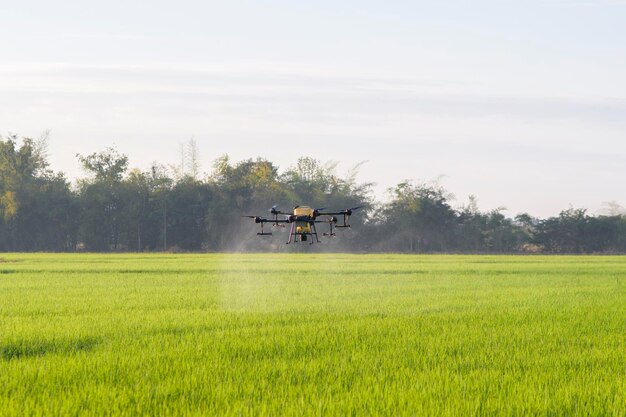 Dron agrícola volando y rociando fertilizantes y pesticidas sobre tierras de cultivo