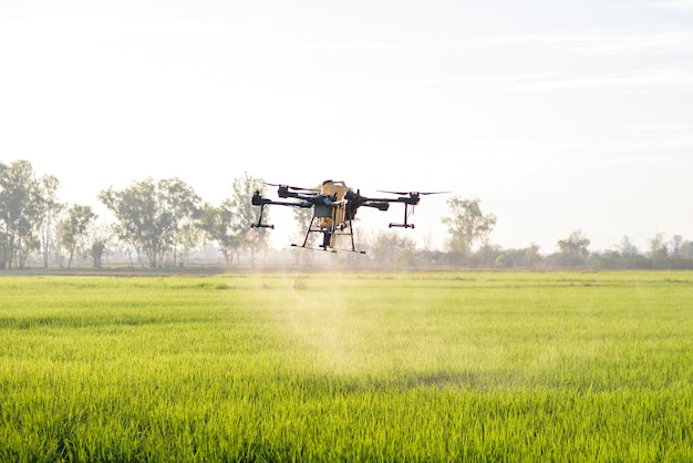 Dron agrícola volando y rociando fertilizantes y pesticidas sobre tierras de cultivo