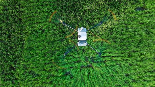 Dron agrícola volando y rociando fertilizantes y pesticidas sobre tierras de cultivo