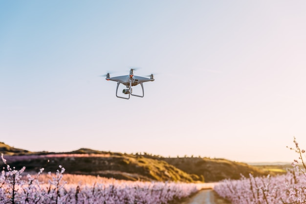 Dron fliegt über Feld von Blumen