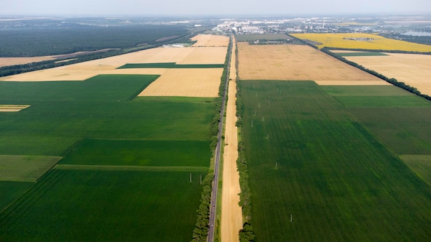 Drone aéreo com vista aérea sobre diferentes campos agrícolas amarelos e verdes