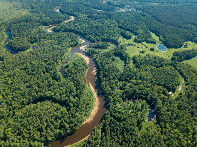 Drone aéreo ver la curva del río con tramos arenosos de bosque profundo en un día soleado