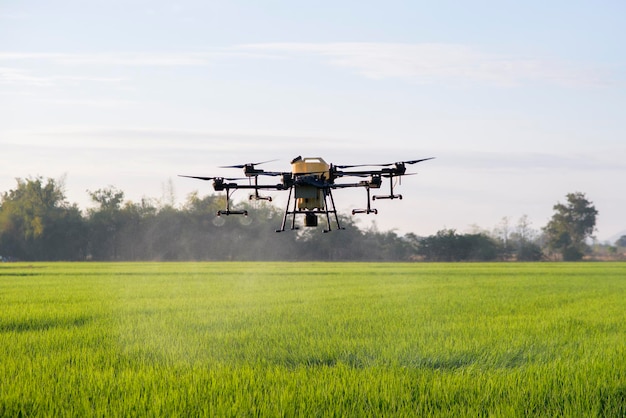 Drone agrícola voando e pulverizando fertilizantes e pesticidas sobre terras agrícolas